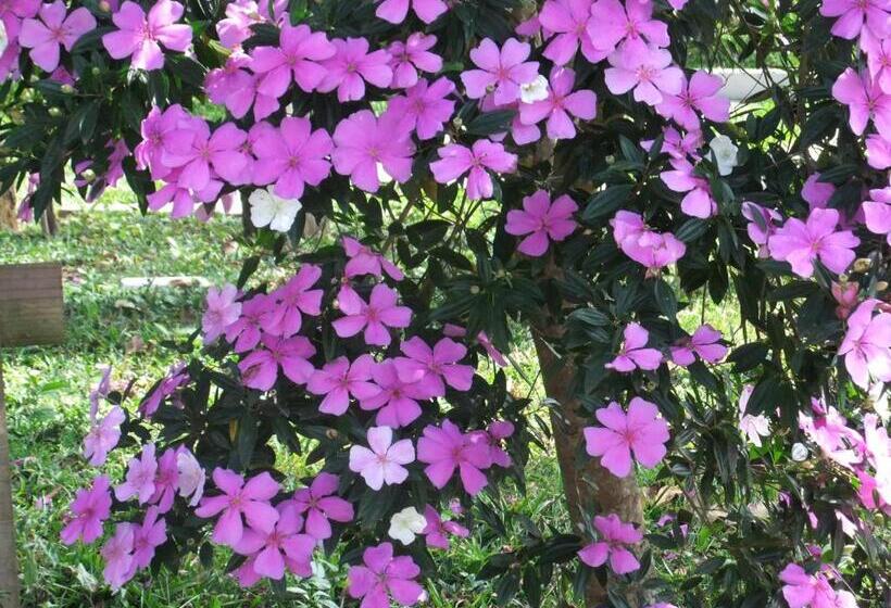 Pension Eco Pousada Passaredo