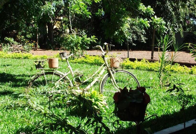 Pension Eco Pousada Passaredo