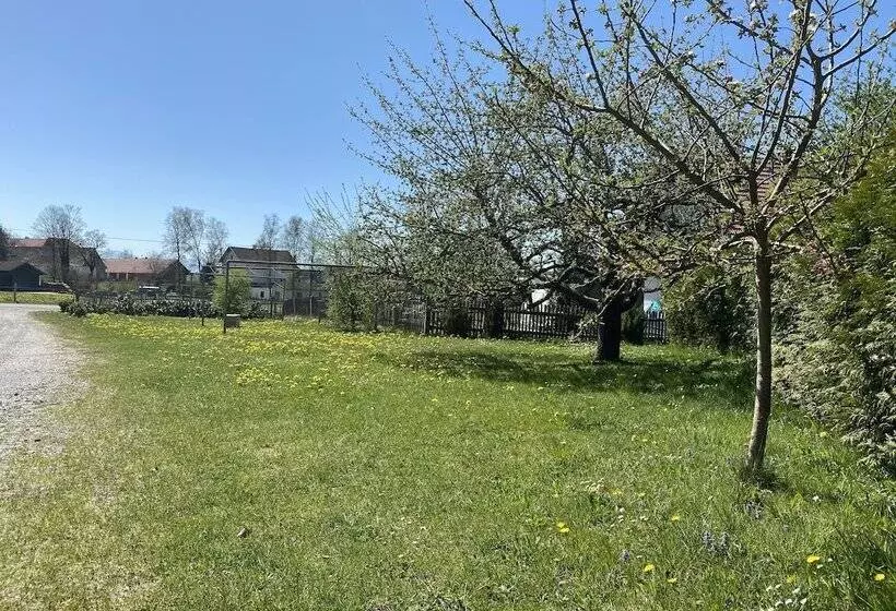 Majatalo Gasthof Graf