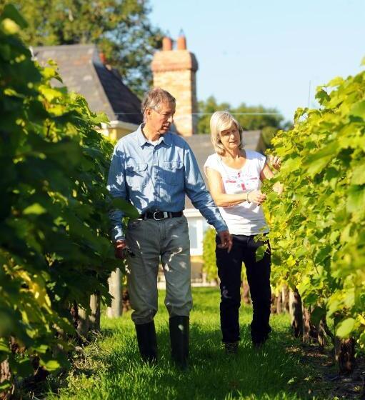 膳宿费 Glyndwr Vineyard