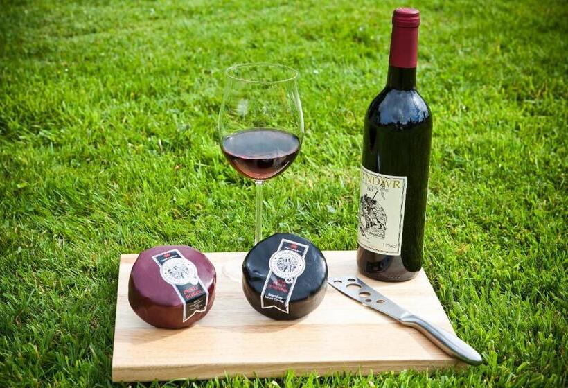 膳宿费 Glyndwr Vineyard