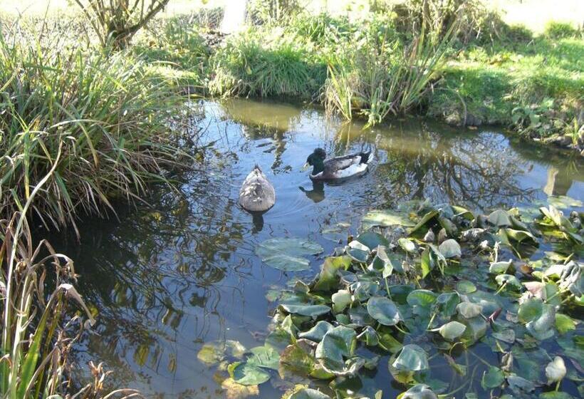 膳宿费 Glyndwr Vineyard