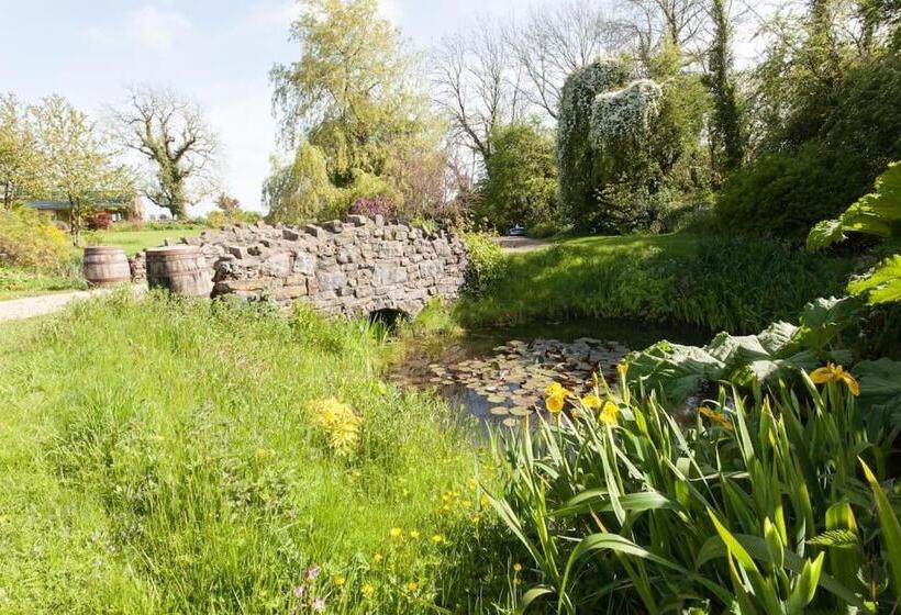 膳宿费 Glyndwr Vineyard