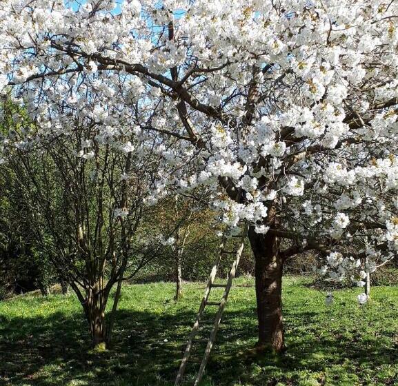 膳宿费 Glyndwr Vineyard