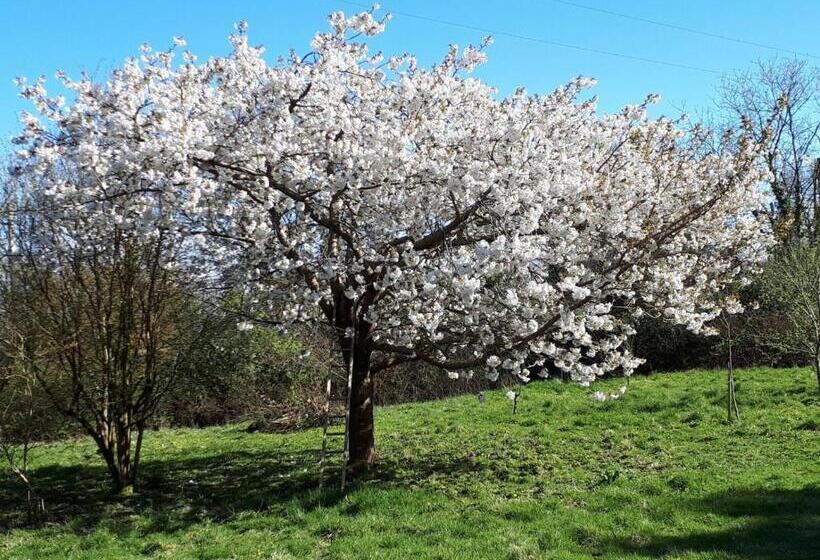 膳宿费 Glyndwr Vineyard