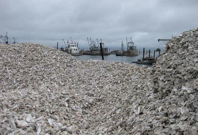 膳宿费 Historic 1920s Cabin