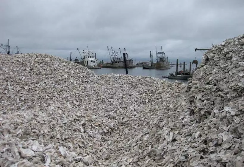 ペンション Historic 1920s Cabin
