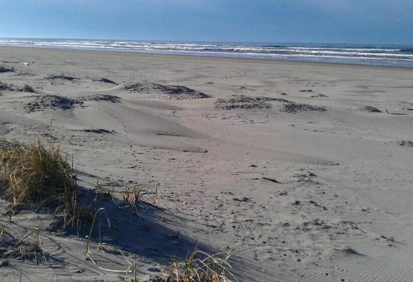 膳宿费 Historic 1920s Cabin