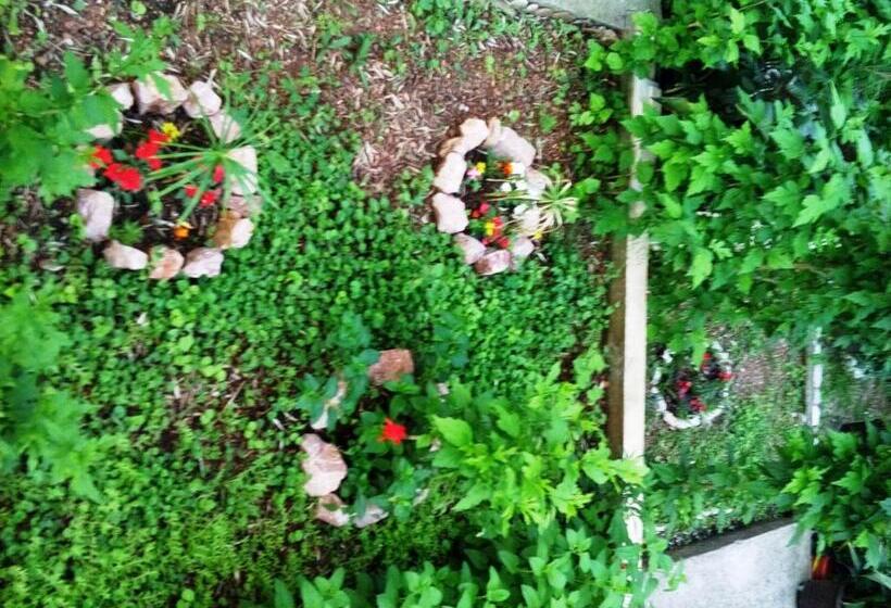 펜션 Oaza Guest House