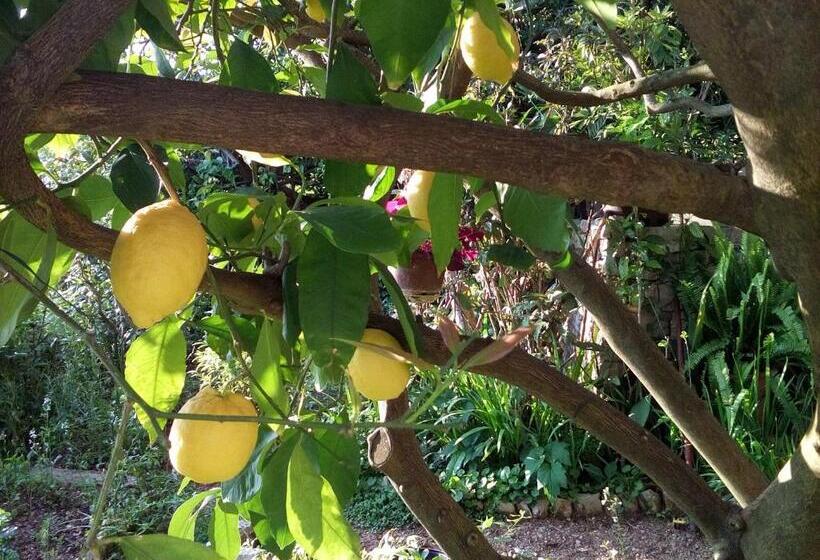 펜션 Oaza Guest House