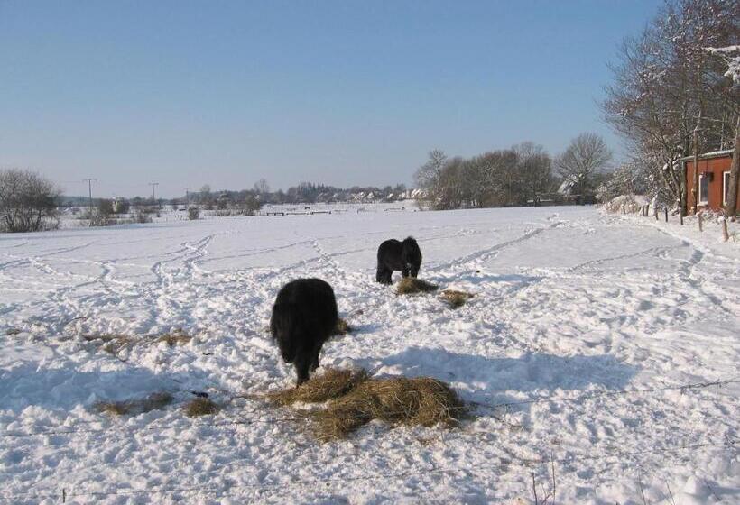 膳宿费 Reiterhof Wollesen