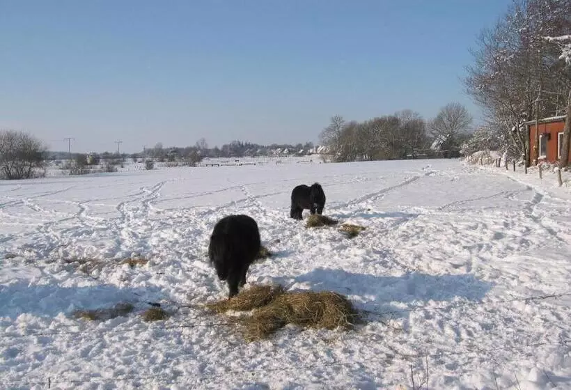 ペンション Reiterhof Wollesen