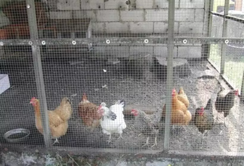 ペンション Reiterhof Wollesen