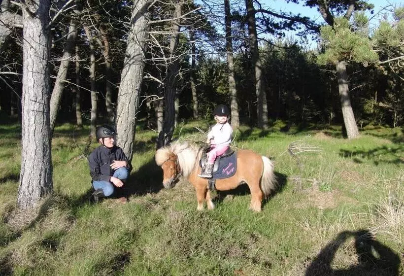 ペンション Reiterhof Wollesen