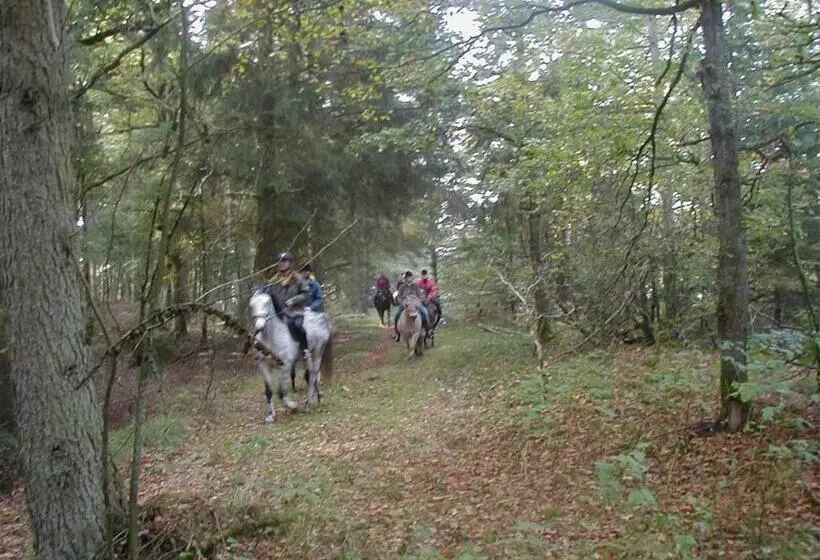 ペンション Reiterhof Wollesen