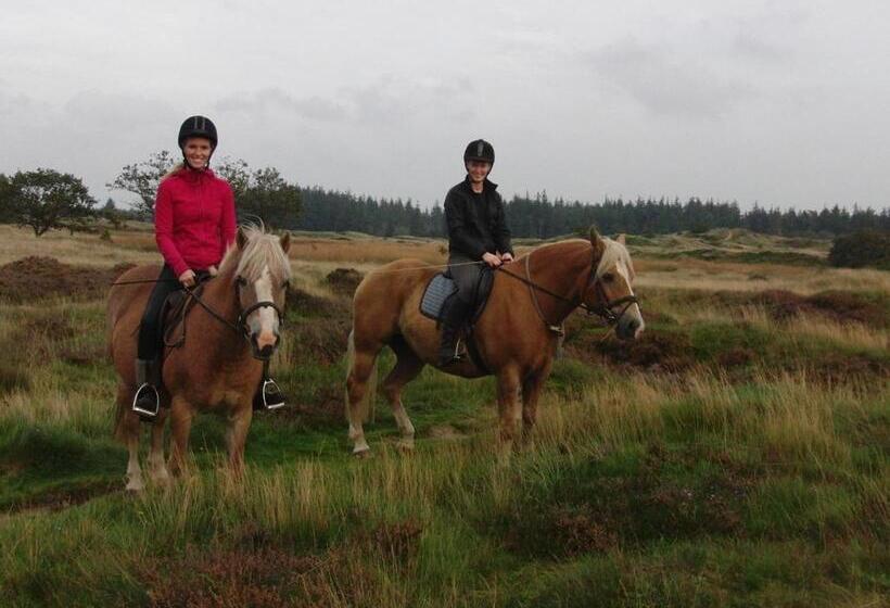 膳宿费 Reiterhof Wollesen