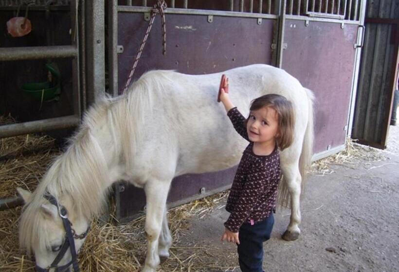 膳宿费 Reiterhof Wollesen