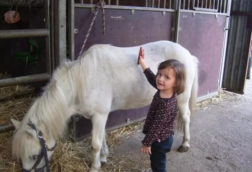 ペンション Reiterhof Wollesen