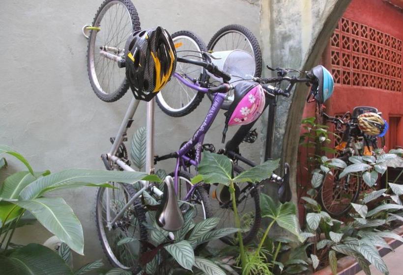 Пансион Verde Vida Ecopousada Termas Do Gravatal