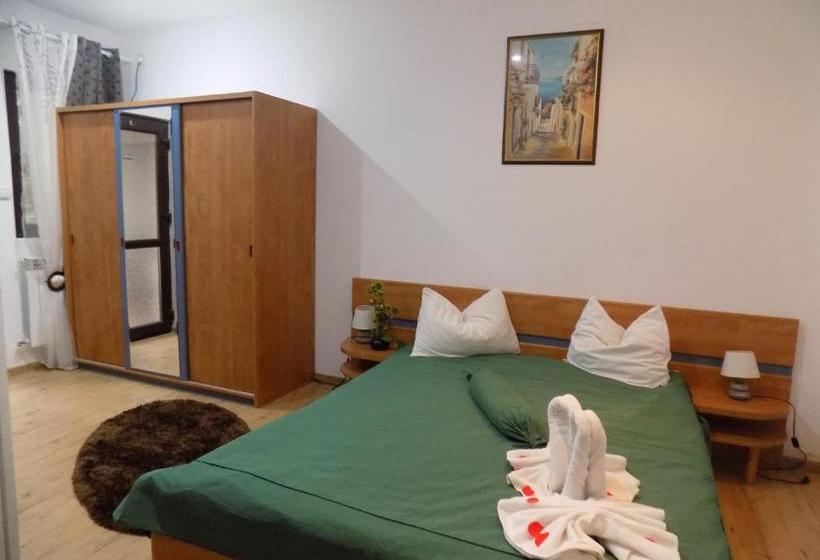 Pensiunea Red Rose Apartments