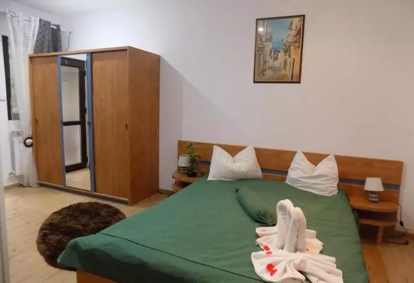 Pensiunea Red Rose Apartments