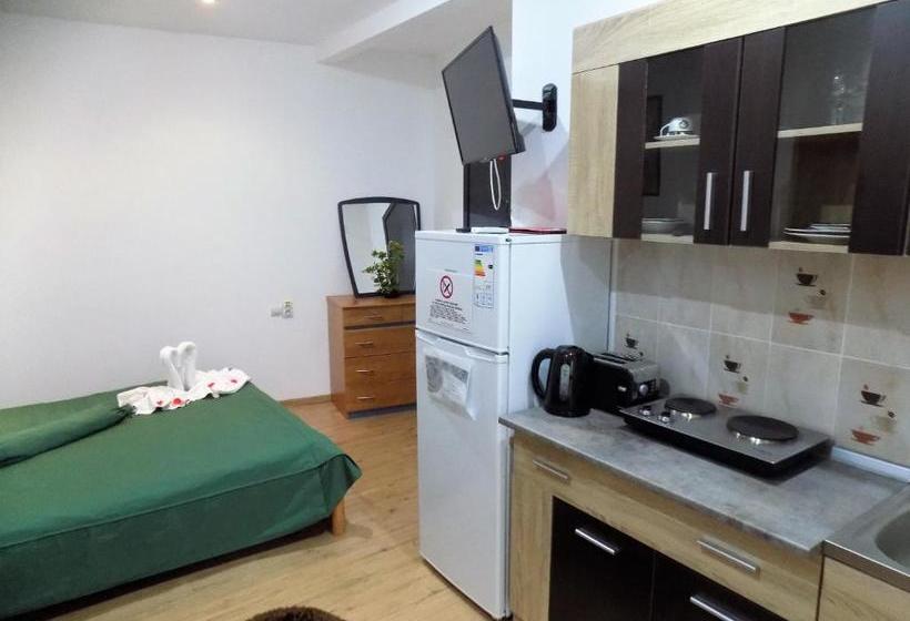 Pensiunea Red Rose Apartments