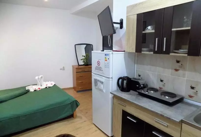 Pensiunea Red Rose Apartments