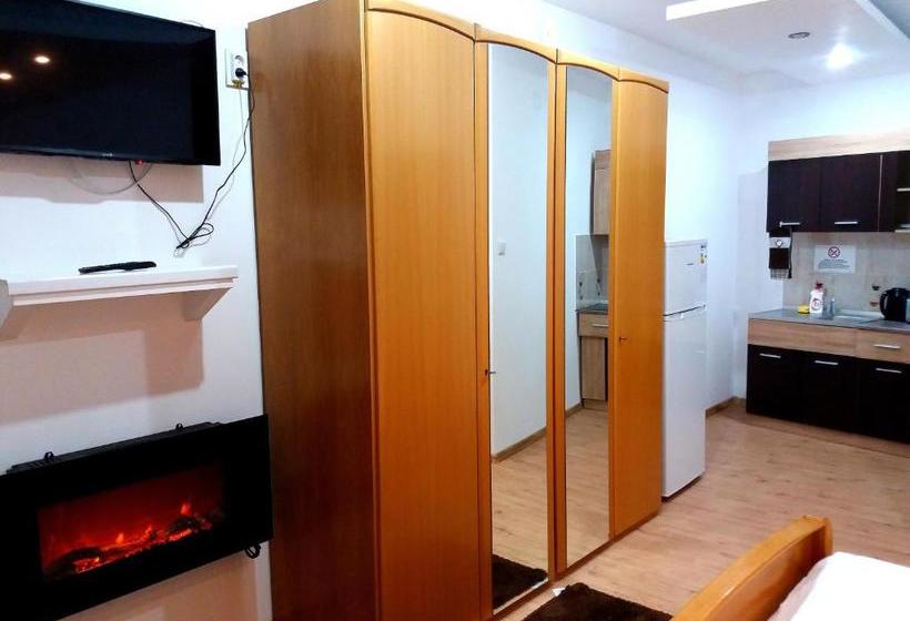 Pensiunea Red Rose Apartments