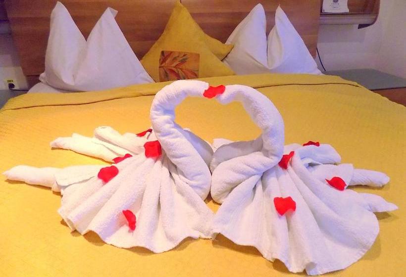 Pensiunea Red Rose Apartments