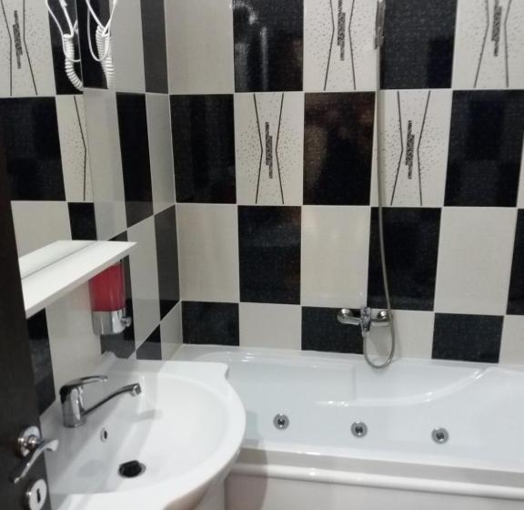 Pensiunea Red Rose Apartments