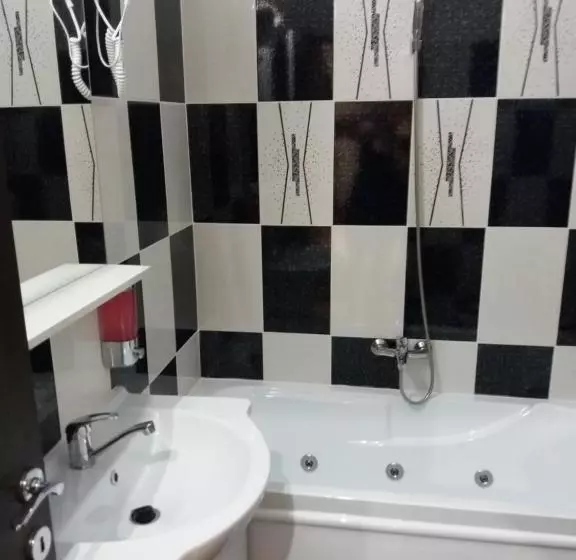 Pensiunea Red Rose Apartments