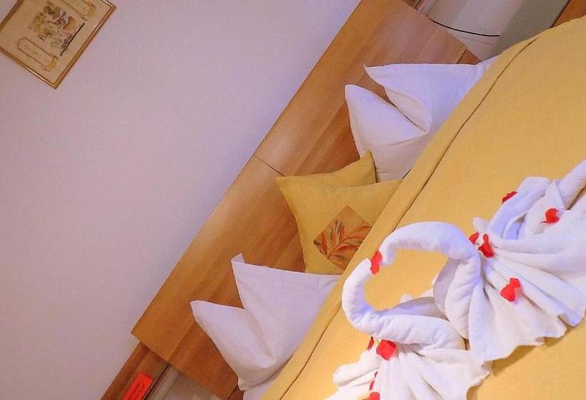 Pensiunea Red Rose Apartments