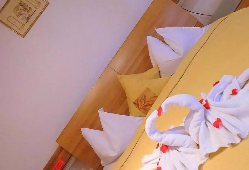 Pensiunea Red Rose Apartments