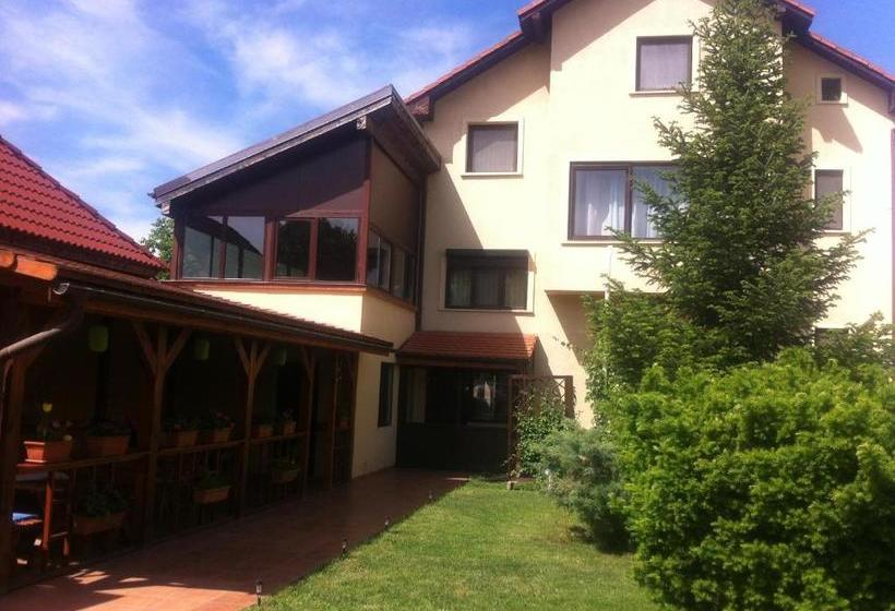 Pensiunea Red Rose Apartments