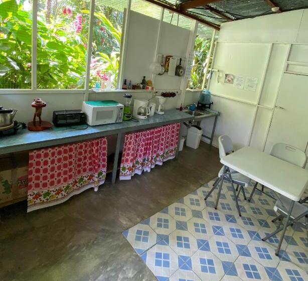 ユースホステル Mirians Place Drake