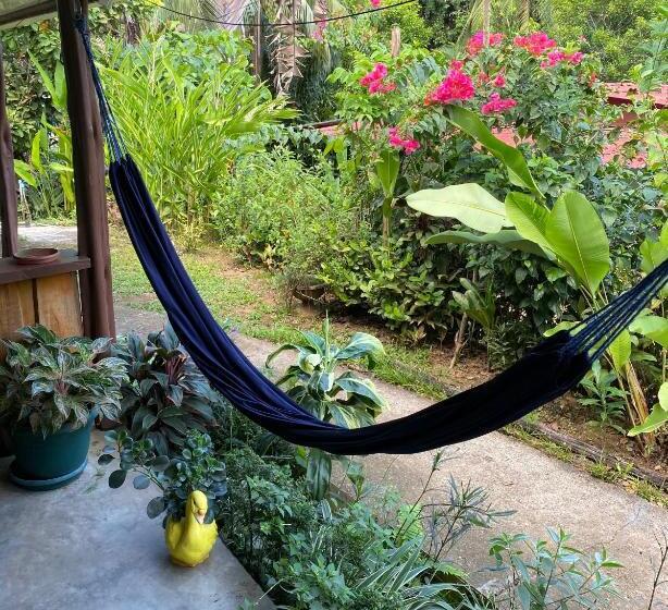 ユースホステル Mirians Place Drake