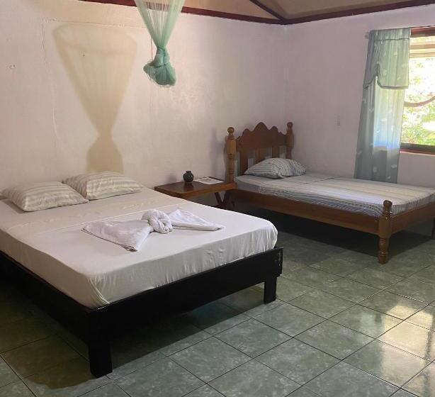 ユースホステル Mirians Place Drake