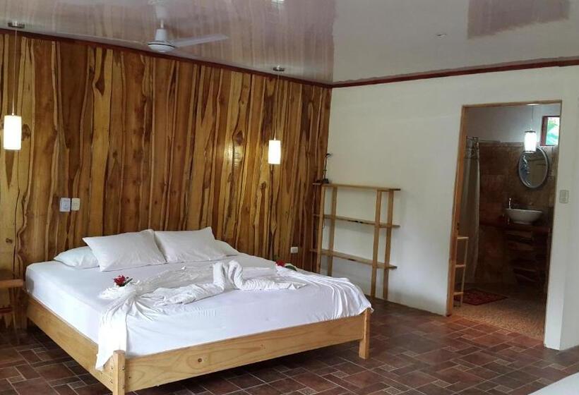 ユースホステル Mirians Place Drake