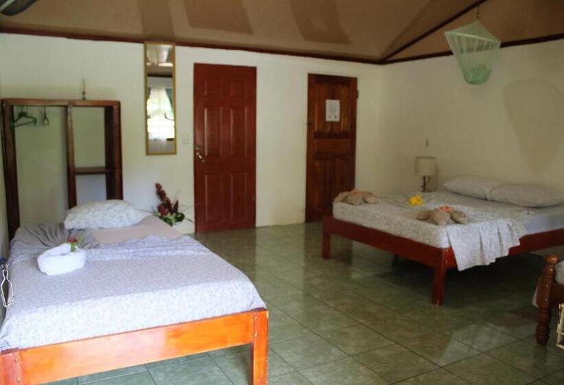 ユースホステル Mirians Place Drake