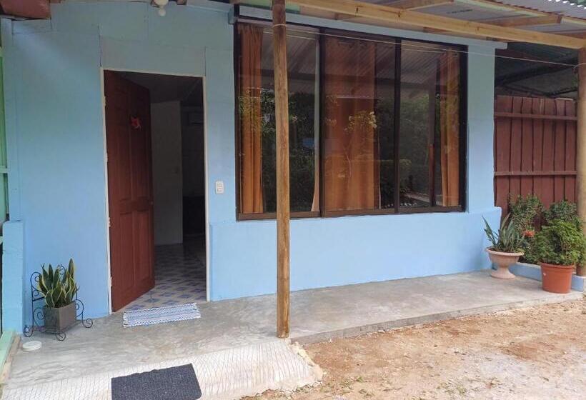 ユースホステル Mirians Place Drake