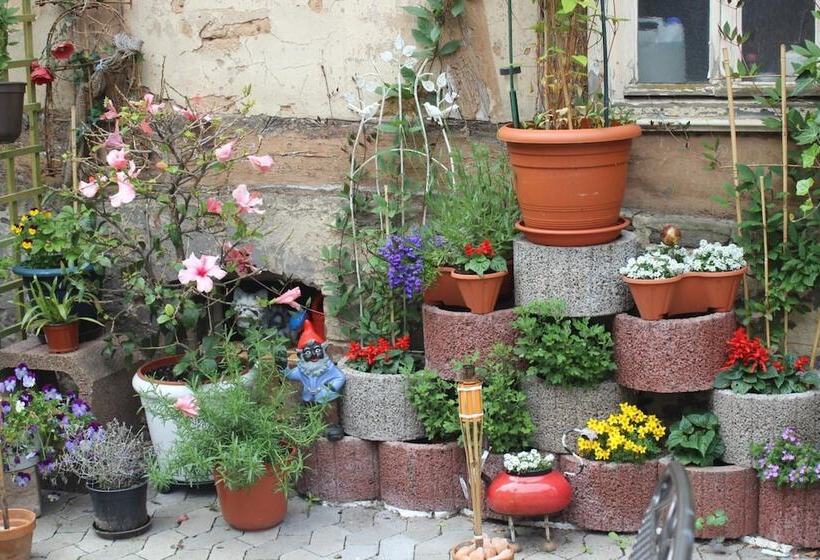 Общежитие Restaurant / Pension Mainzer Tor