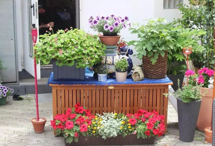 Herberge Restaurant / Pension Mainzer Tor