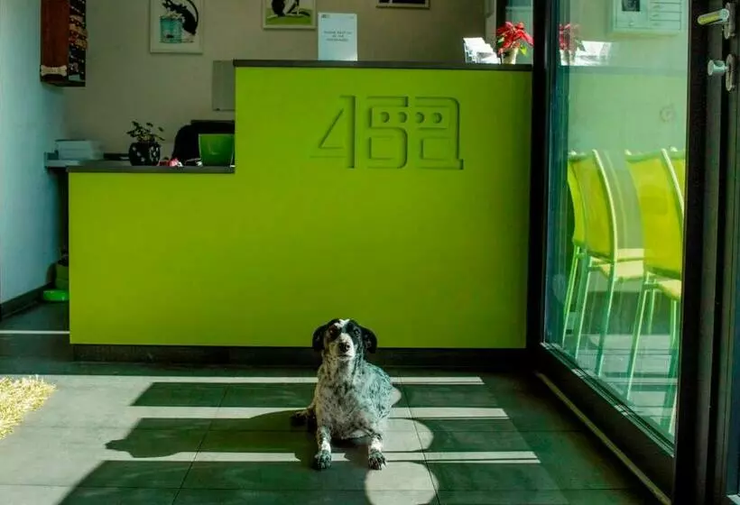 Apart Hotel 46a