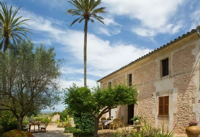 هتل Agroturismo Es Pla De Llodrá