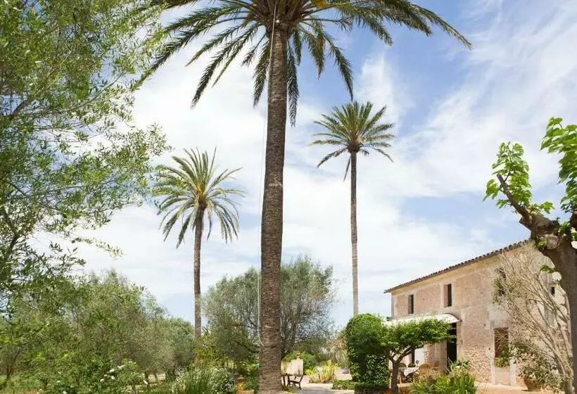 هتل Agroturismo Es Pla De Llodrá