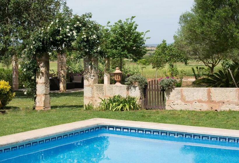 فندق Agroturismo Es Pla De Llodrá