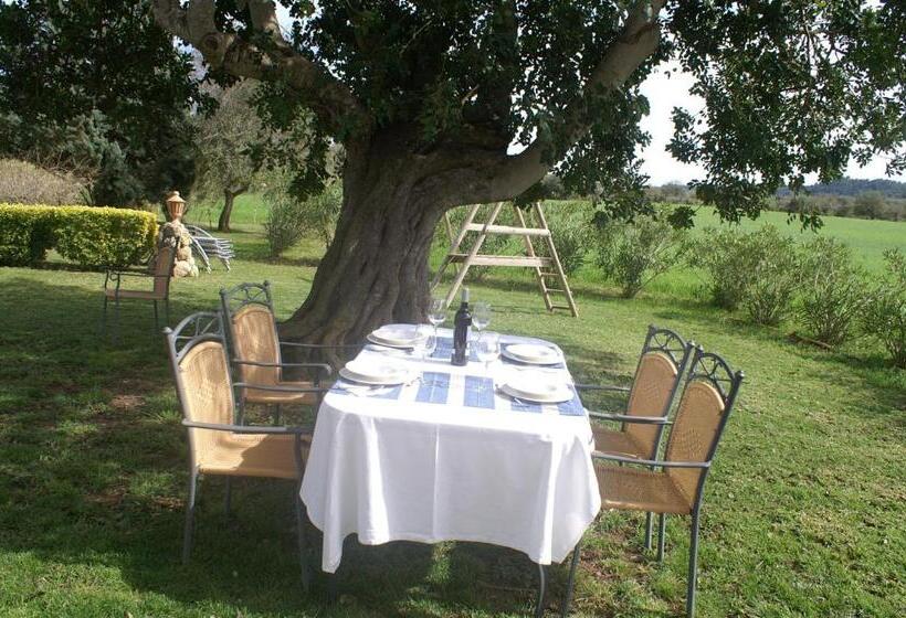 فندق Agroturismo Es Pla De Llodrá