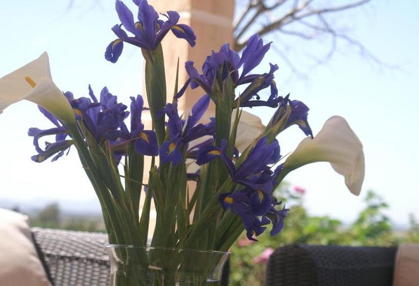 فندق Agroturismo Es Pla De Llodrá