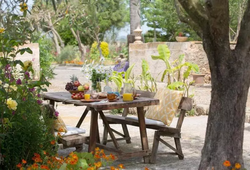 هتل Agroturismo Es Pla De Llodrá