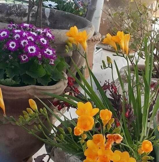 پانسیون Dar Hassine Allani